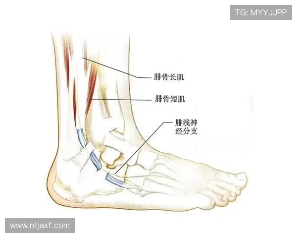 山越康平外踝韧带损伤解析