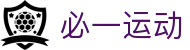 必一（运动科技有限公司）官方网站-B·Sport